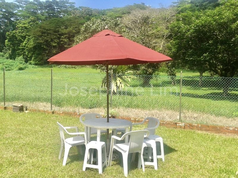 3 Bed Corner Terrace (Landed) for Rent in  Ming Teck Park - Image 4